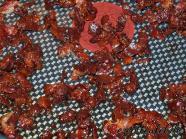 Den Speck ausbraten